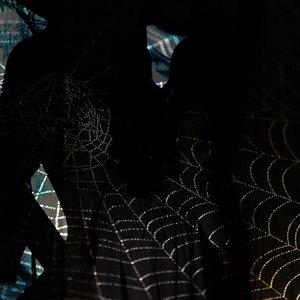 Avatar for Hex Formes
