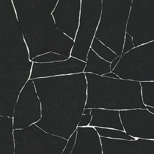 세상이 멈췄다