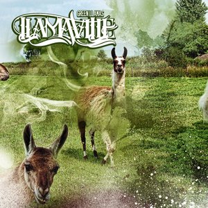 Avatar für DIbia$e/Green Llama Movement
