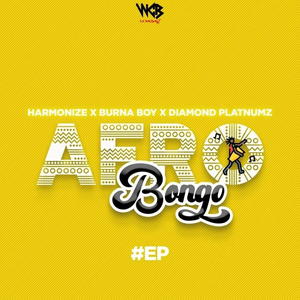 Afro Bongo
