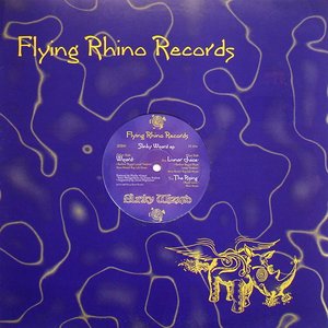 Slinky Wizard EP