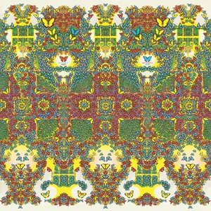 Butterfly 3000 (Ocular Edition)