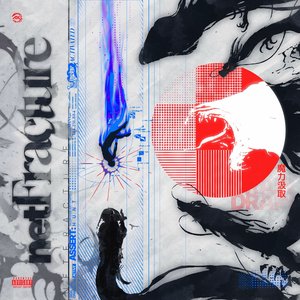 NETFRACTURE, Vol. 1