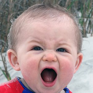 Avatar for Harlequin Babies