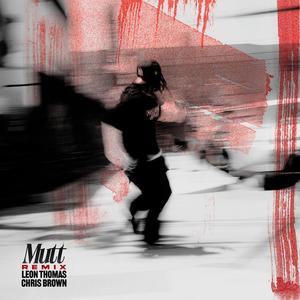 MUTT (CB REMIX) album cover
