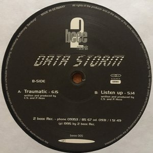 Avatar for Data Storm