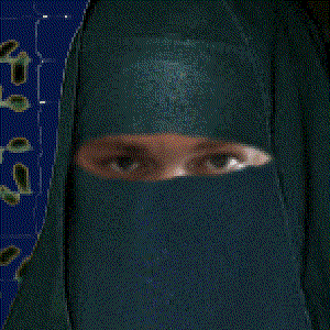 Avatar for Maja Hedin