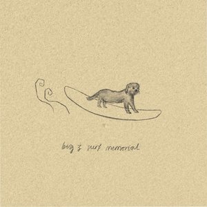 big z surf memorial