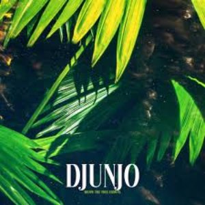 Avatar for Djunjo