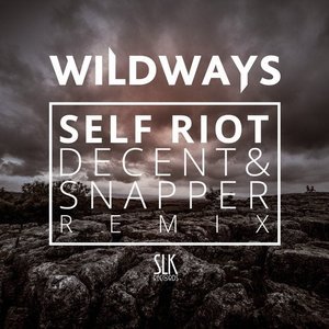 Self Riot (Decent & Snapper Remix)
