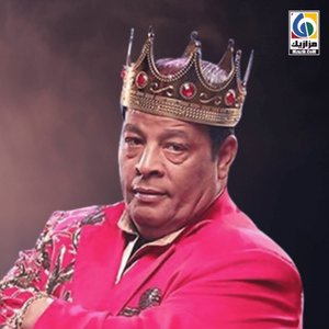 Avatar for Abd El Basset Hamouda