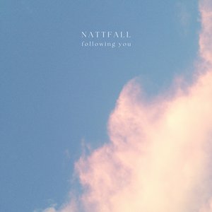 Following You - Single