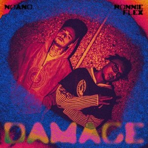 Damage (feat. Ronnie Flex) - Single