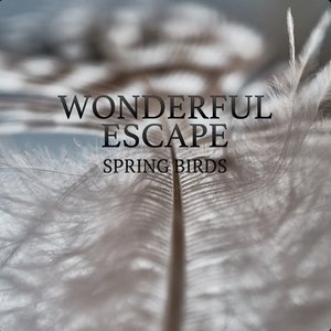 Spring Birds