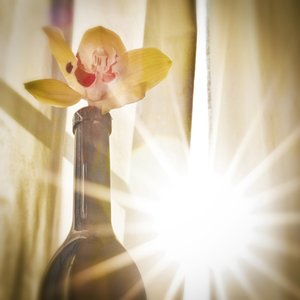Avatar for SUPERiO