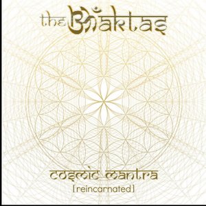 Cosmic Mantra (Reincarnated)