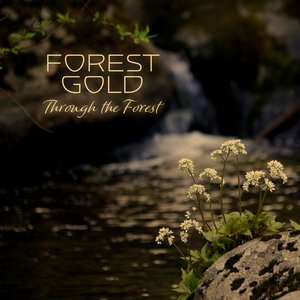Through the Forest