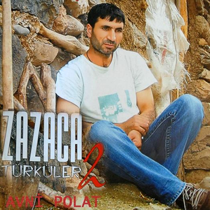 Zazaca Türküler 2 by Avni Polat