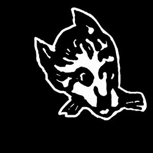 Avatar for Cat O Nein