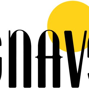 Avatar for Snavs
