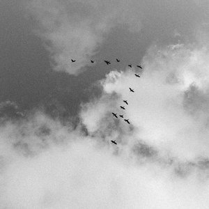 Canto VII