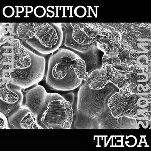 Brittle Inclusions