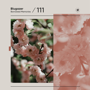 Artwork for Borrowed Memories