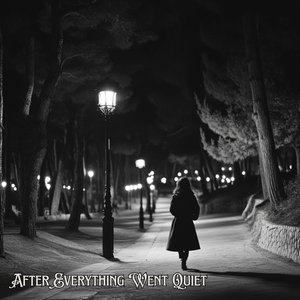 After Everything Went Quiet