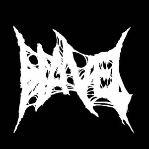 Avatar for Havel