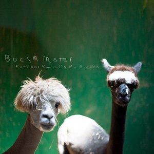 Avatar for BUCKMINSTER