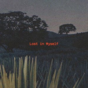 Lost in Myself
