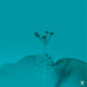 Artwork for Soft Rain
