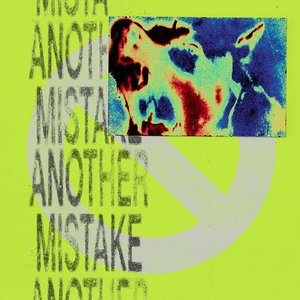 Another Mistake
