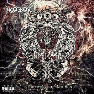 A Biography of Madness