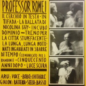 Professor Romei