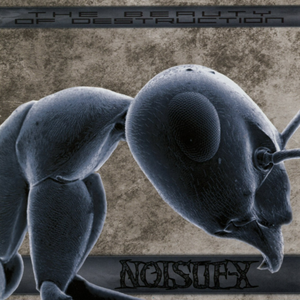 The Beauty Of Destruction by Noisuf-X