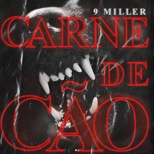 Carne de Cão