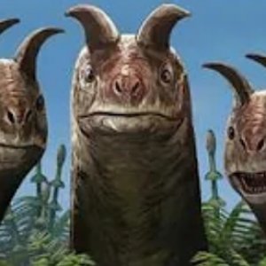 Avatar for Thagomizer