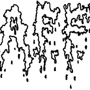 Avatar for Amniotic Fluid Fontain