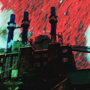 the forest burner