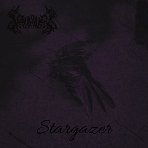 Stargazer