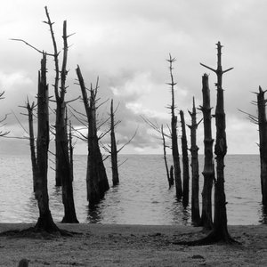 Cober Mouth