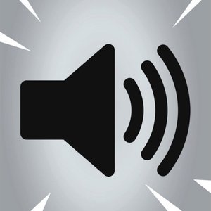 Goofy Ahh Car Horn