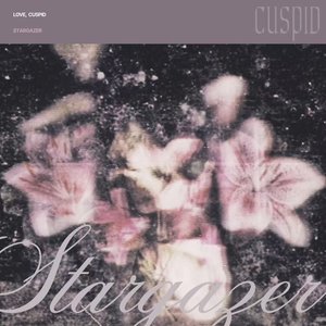 Stargazer