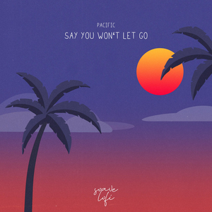 Say You Won't Let Go