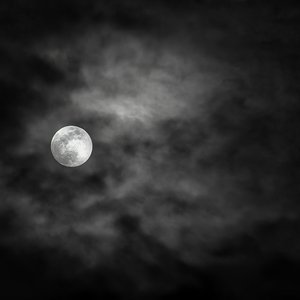 Fallen Night