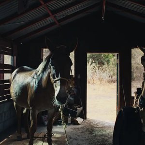 Prologue (Eulogy Of A Man Turned Mule)