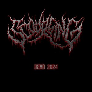 Demo 2024
