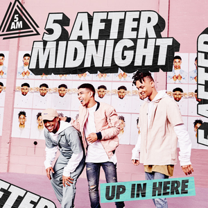 Up In Here (KNOXA Remix) album cover