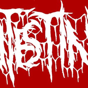 Avatar for Intestine
